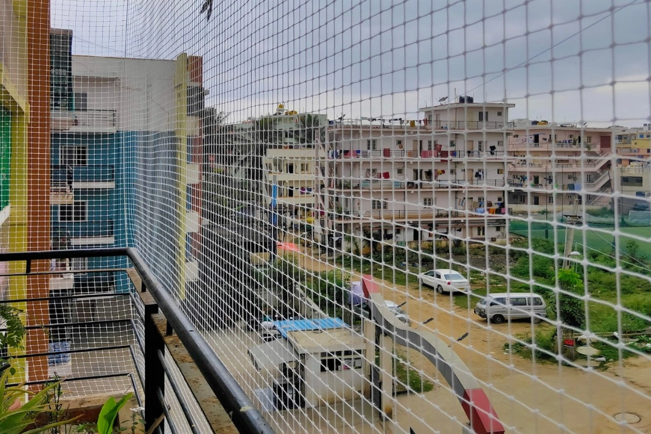 Professional Anti Bird Netting Solutions Raipur