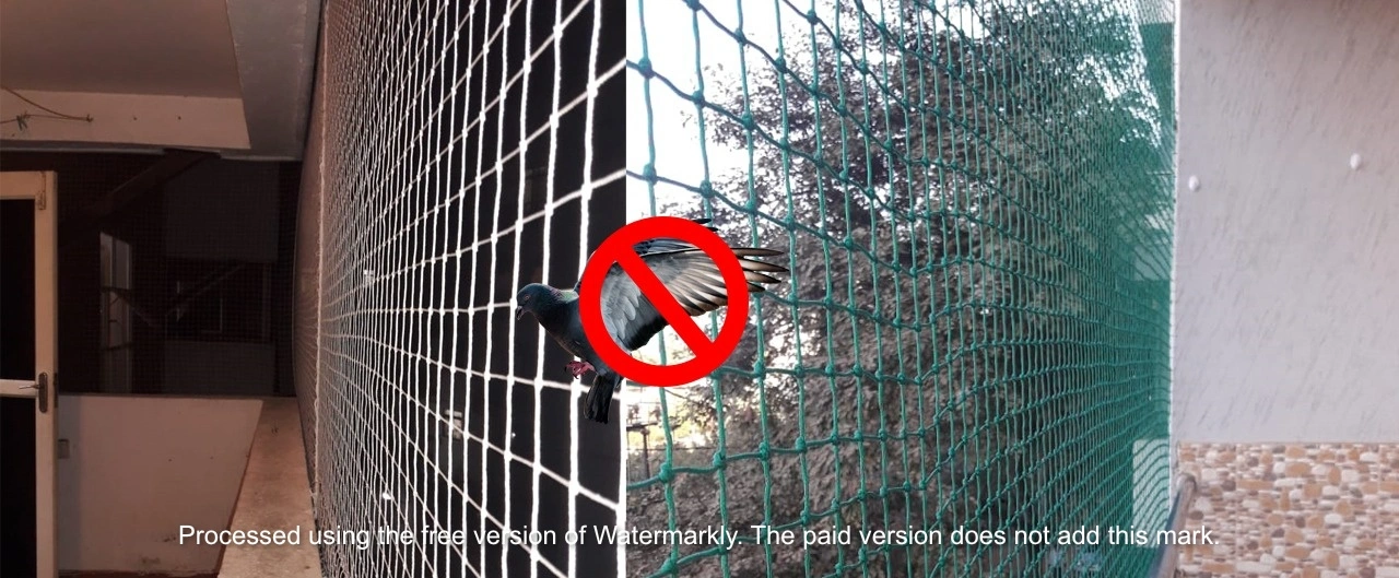 Pigeon Nets – Keep Pigeons Off Your Property